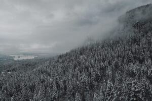 Winter snow above the trees in Creston, MT