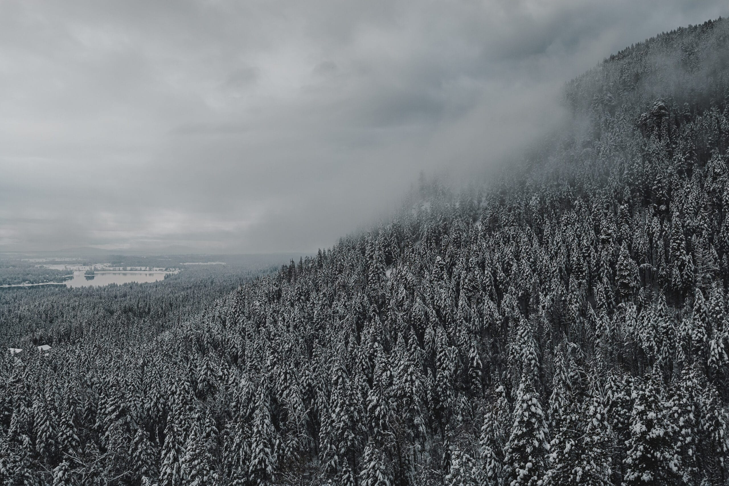 Winter snow above the trees in Creston, MT