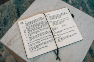 Daily Journal Entry Weekly Recap