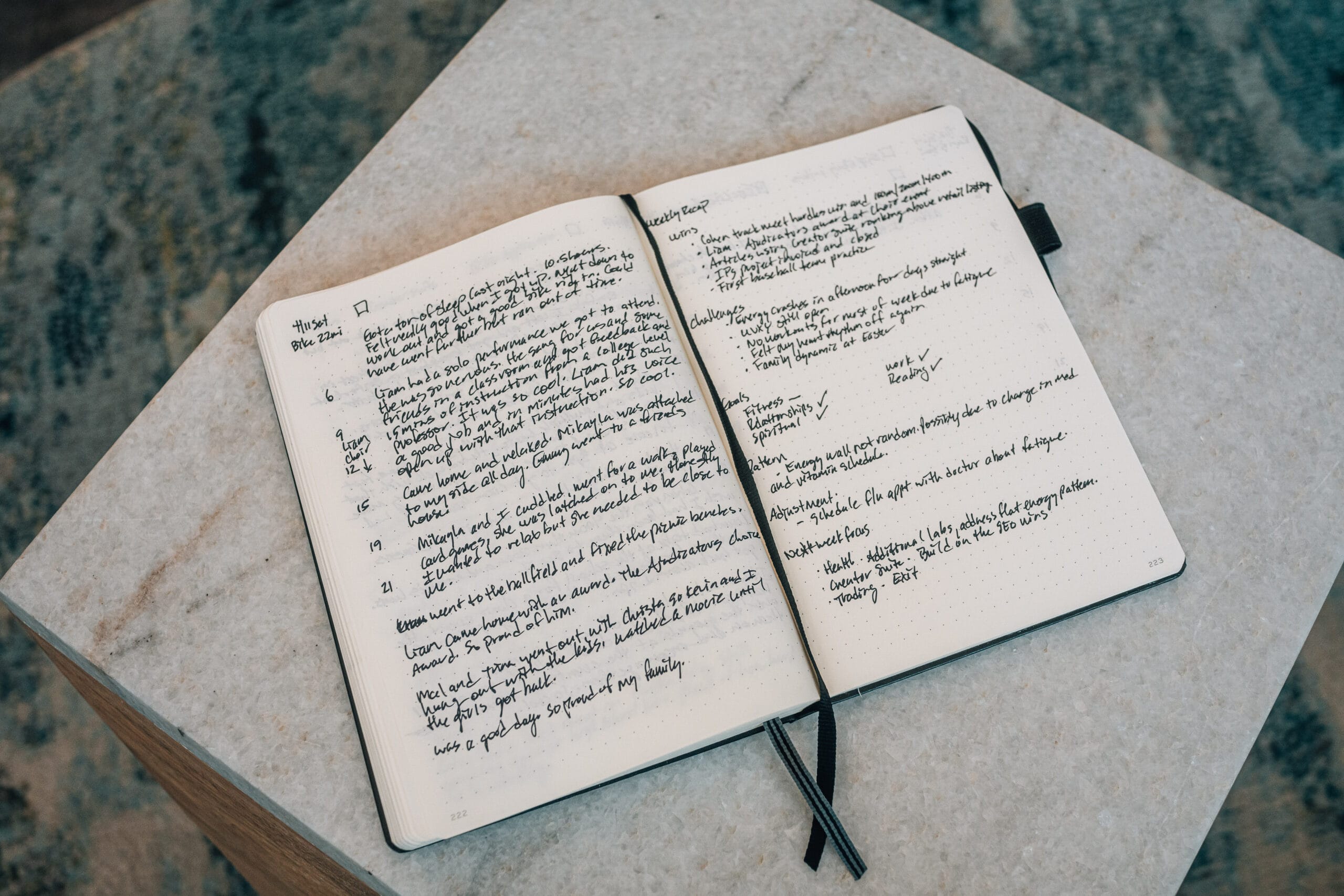 Daily Journal Entry Weekly Recap