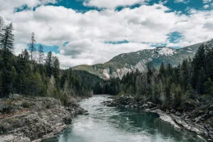 Nikon Z6III Sample Image GNP 2