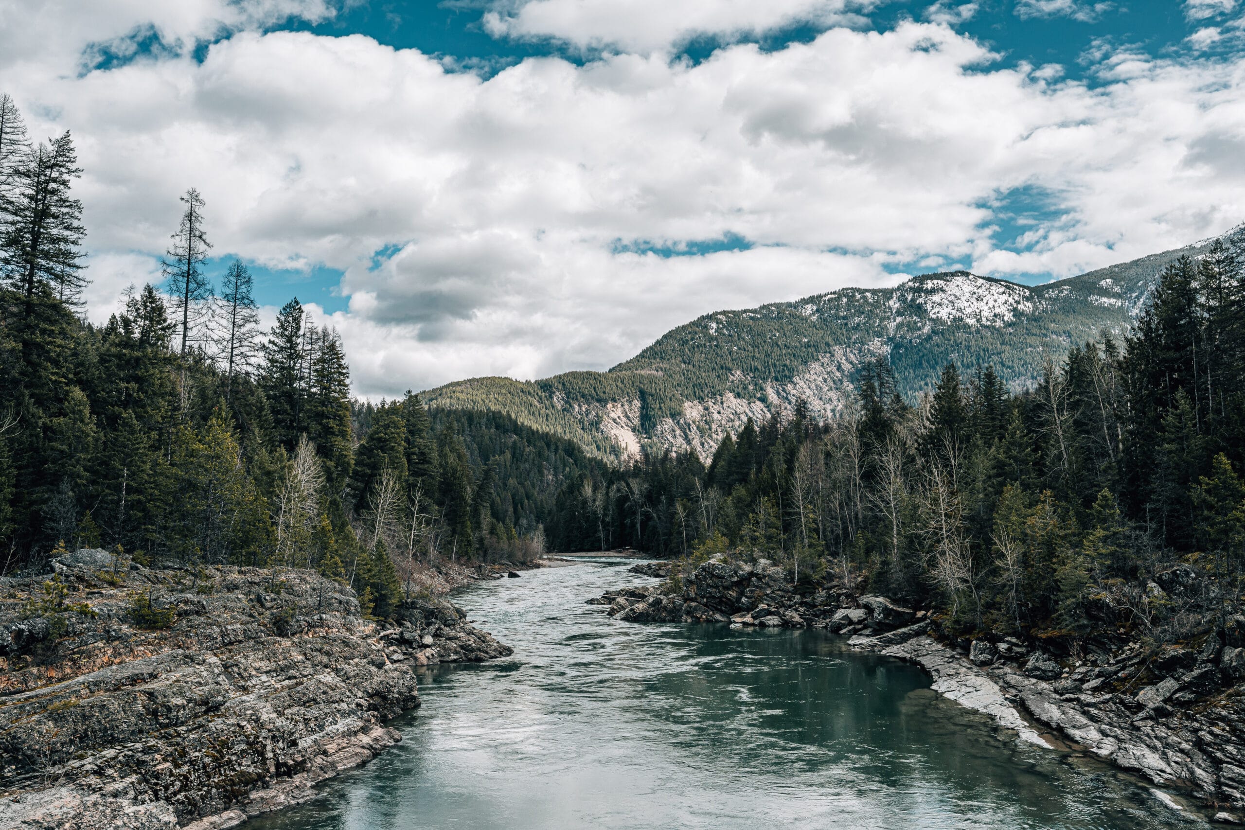 Nikon Z6III Sample Image GNP 2